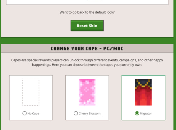 Basic Minecraft Account